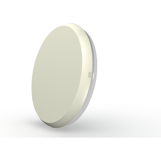 Light Yellow 16W Round Surface Light